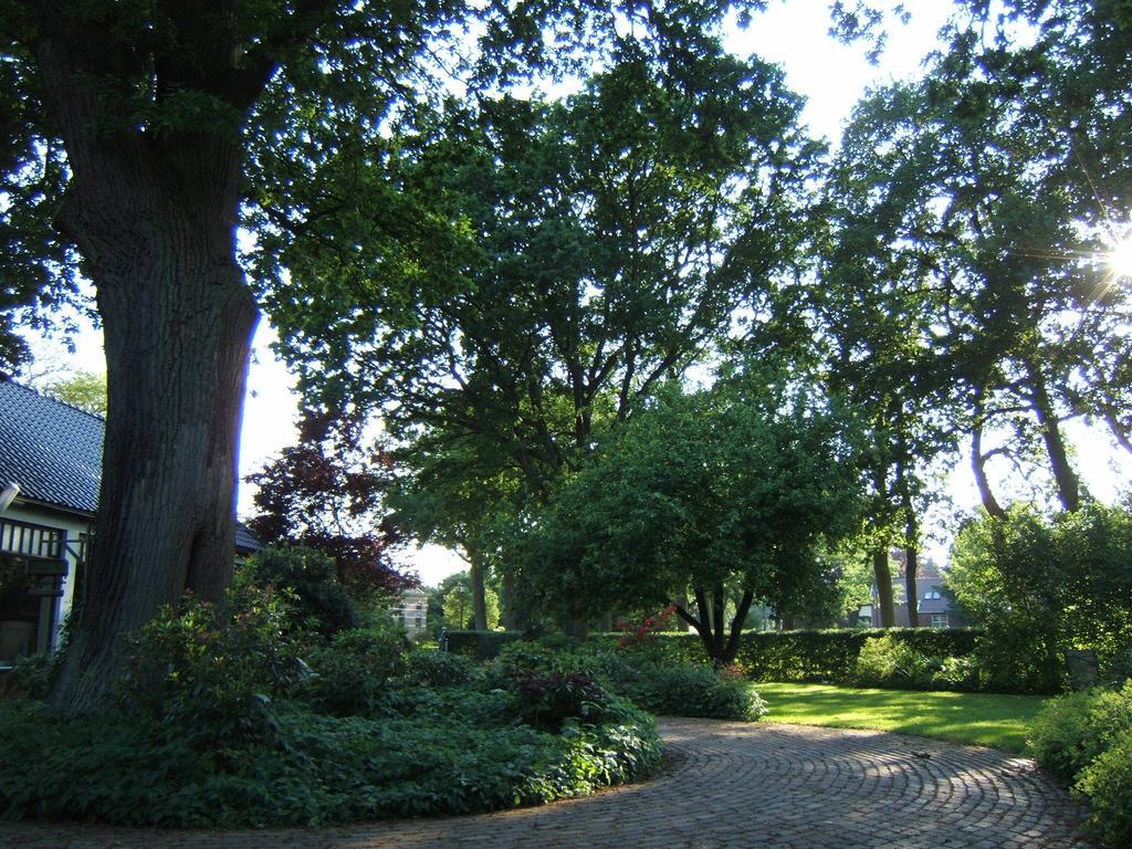B&B"De Hassehof"Sellingen エクステリア 写真