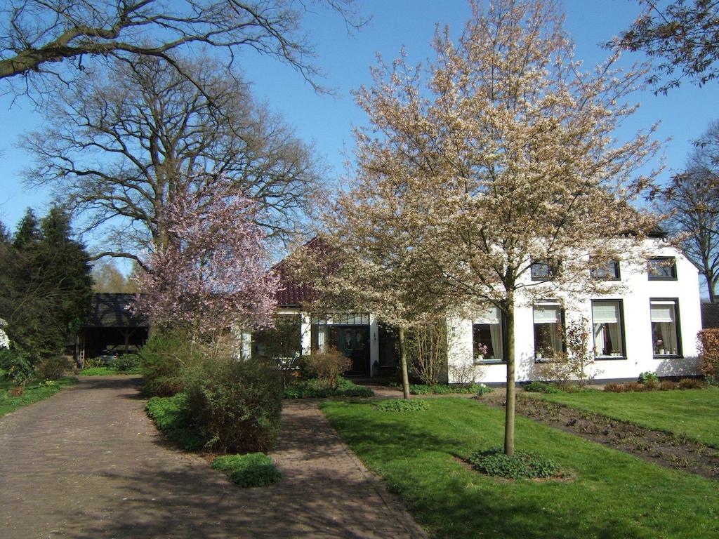 B&B"De Hassehof"Sellingen エクステリア 写真