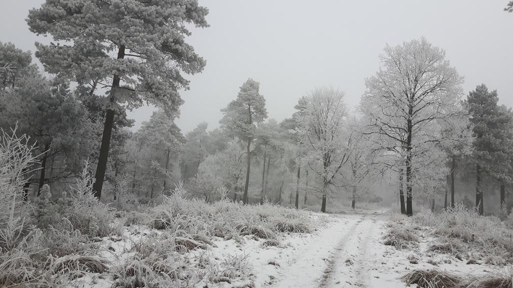 B&B"De Hassehof"Sellingen エクステリア 写真